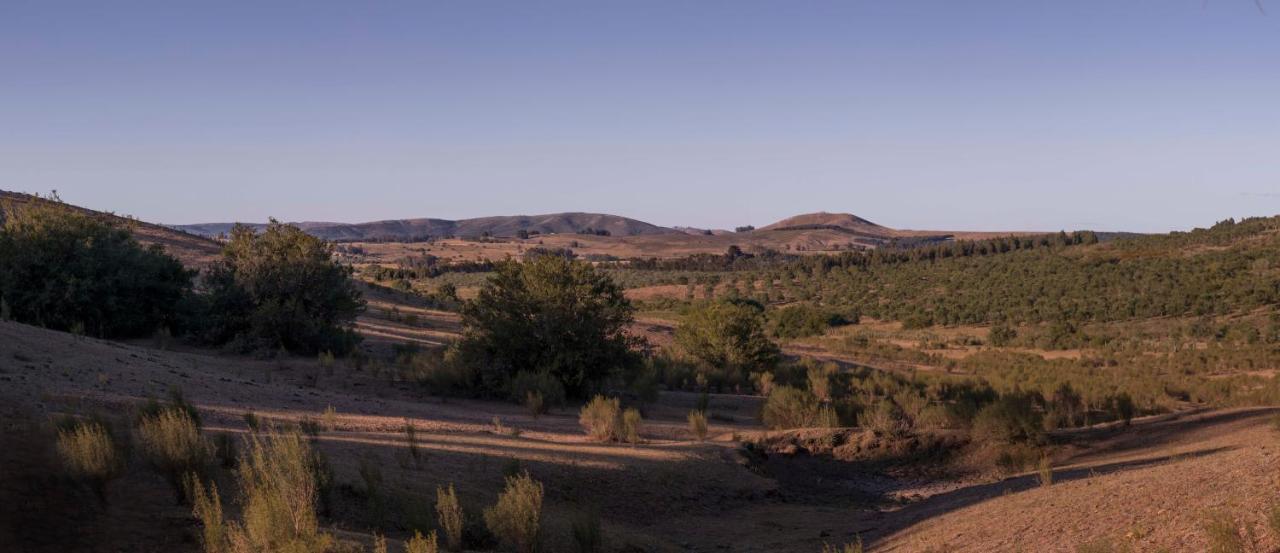Posada La Serena Minas Exteriör bild