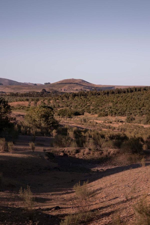 Posada La Serena Minas Exteriör bild